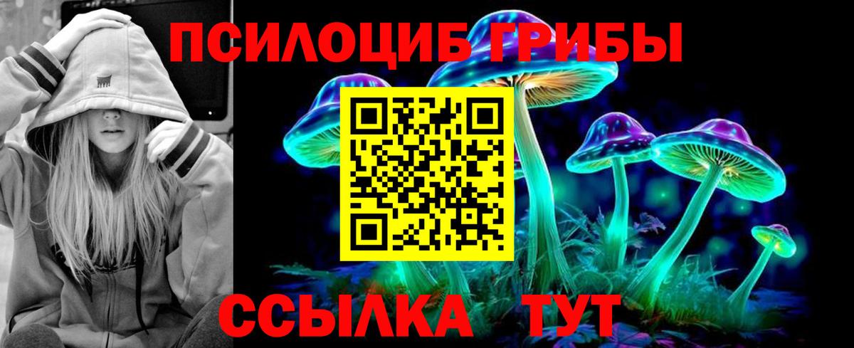 купить   Вход с VPN  Лосино-Петровский  Галлюциногенные грибы Cubensis 